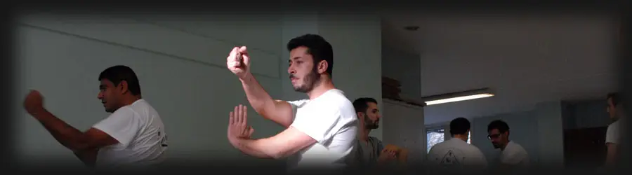 School Of Wing Chun Sherbrooke