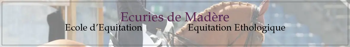 Ecurie De Madère