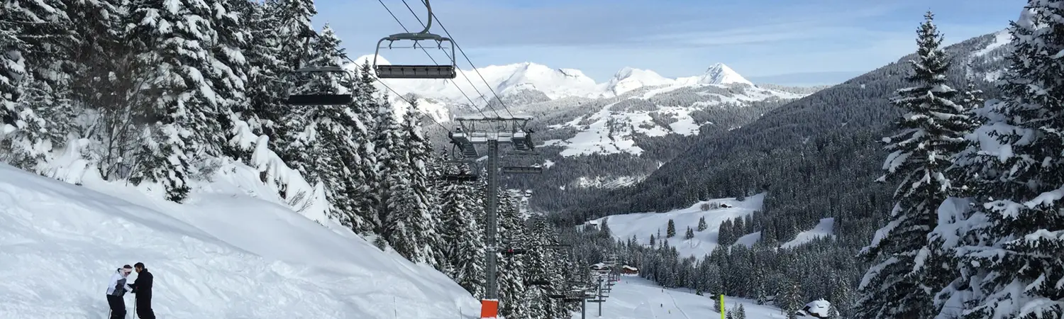 Alpine Pursuits