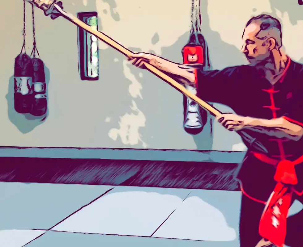 Kung Fu Vietnamese École Hoang
