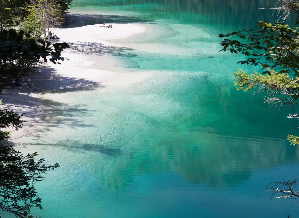 The Fix Wellbeing