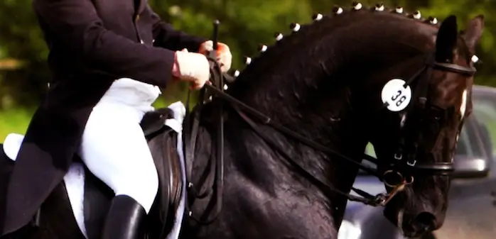 Sheepcote Equestrian