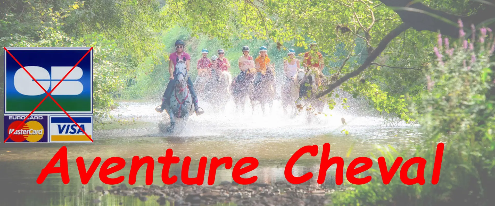 Adventure Horse - Point Departure Hiking