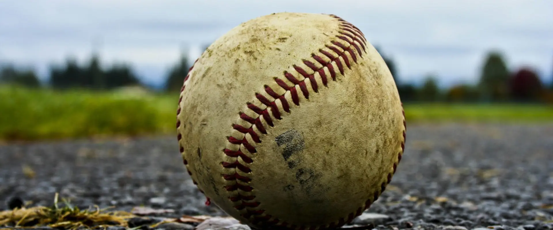 Royal York Baseball