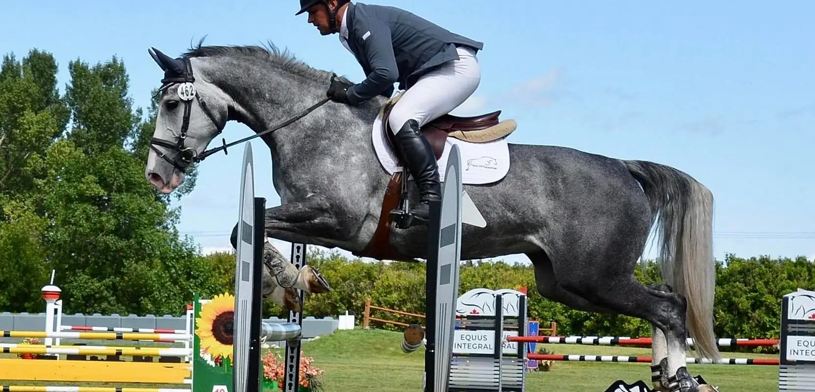 Take off equestrian
