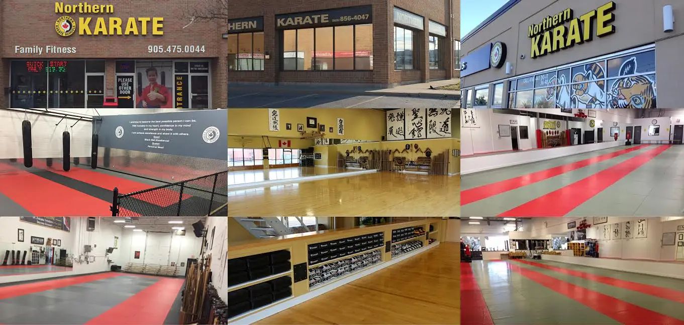 Northern Karate School Aurora