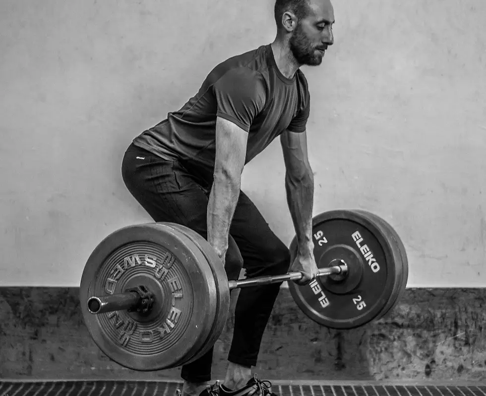 Fitness Renaissance