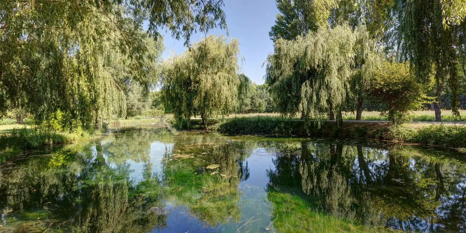 Domaine du Grand Lauron