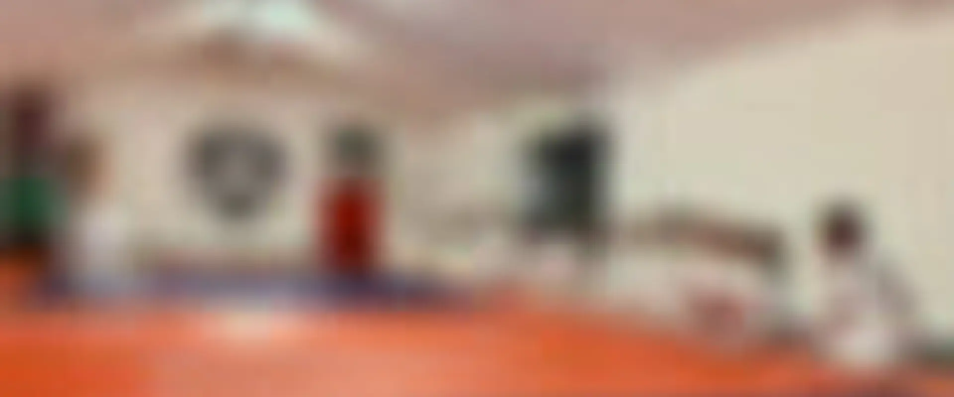 Triangle Judo Club