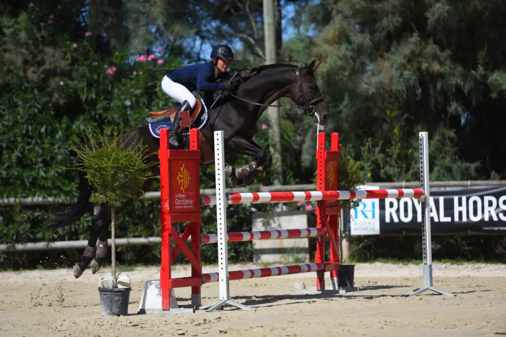CHEVAL ET PROVENCE