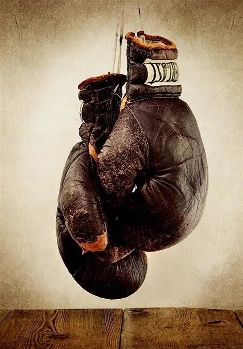 Boxe pessac Alouette