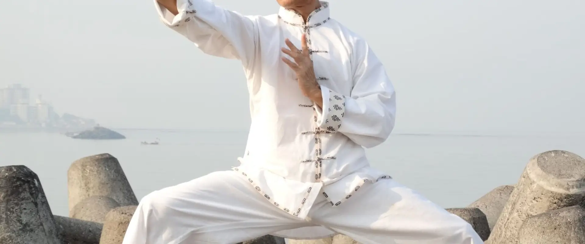 Sensei Sandeep Desai (T'ai Chi Master in India)