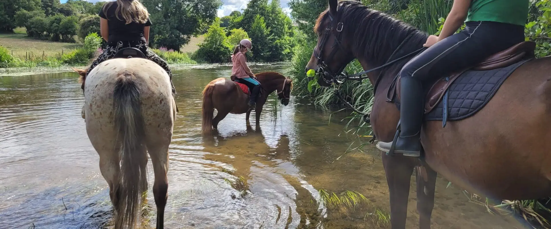 Pony Club Des Retrouvailles