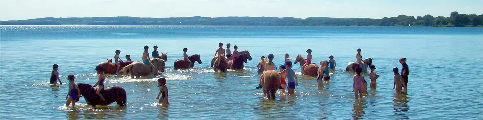 Reitschule - Ponyhof am Wittensee