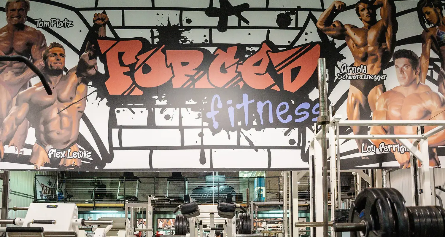 Forged Fitness 24 Hour Gym