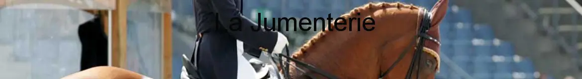 LA JUMENTERIE