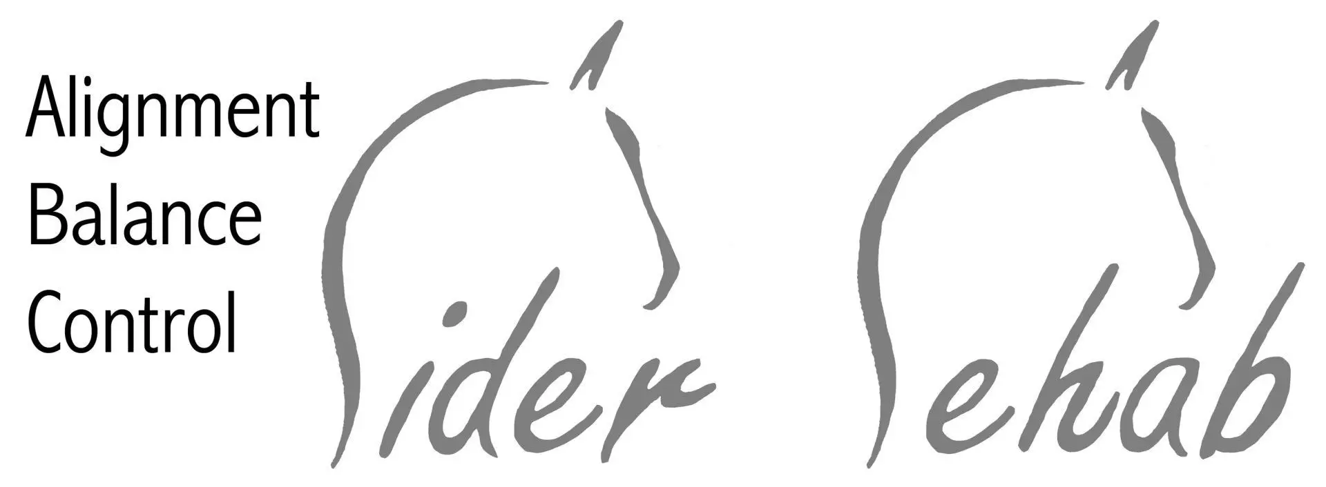 Rider Rehab