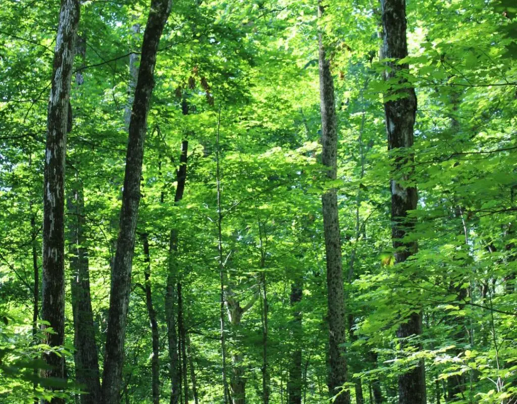 Kawartha Land Trust