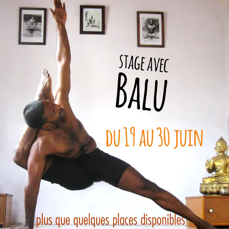 Trini Yoga