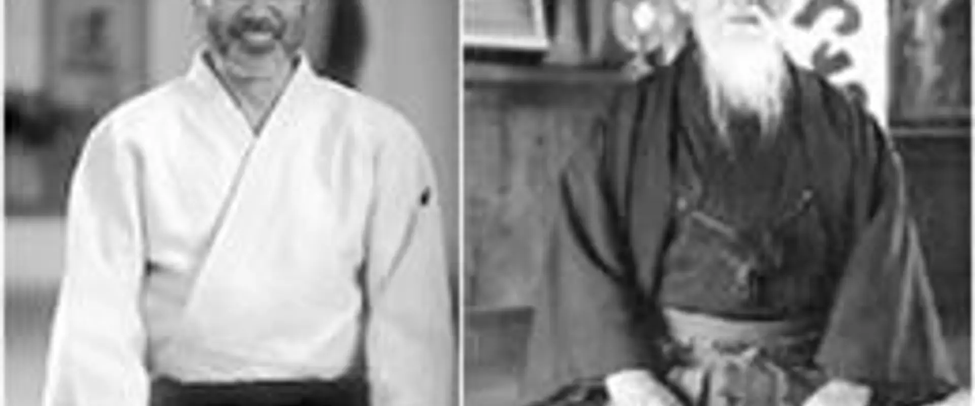Sydney Aikido Aiki Kai Roseville