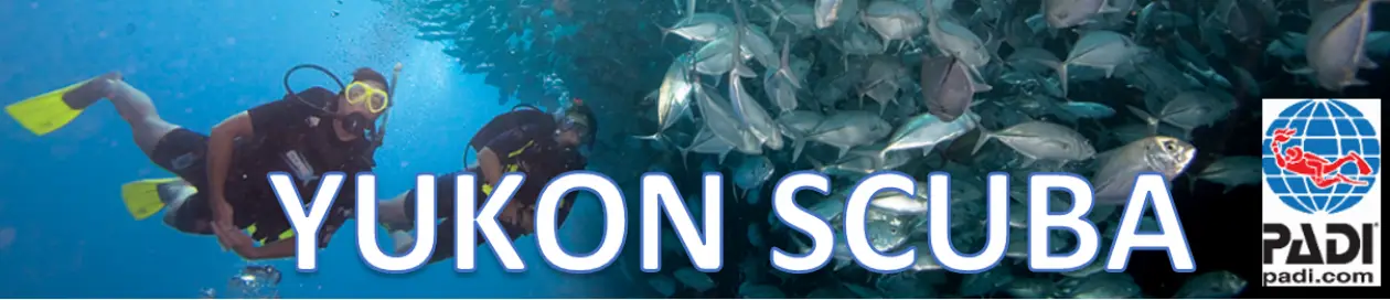 Yukon Scuba