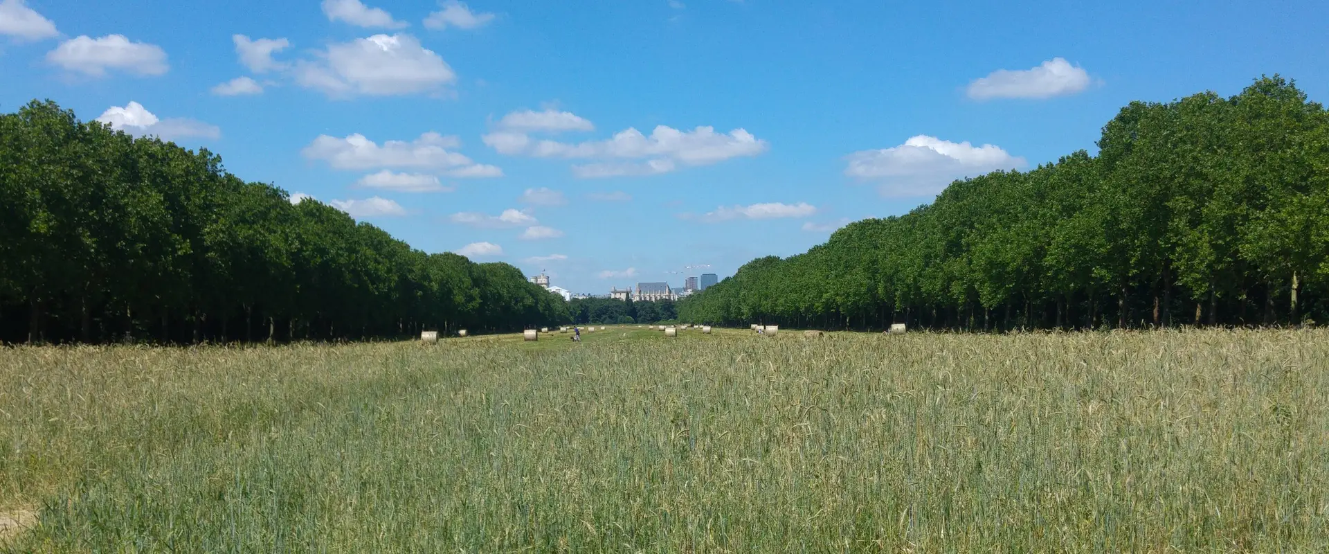 Parcours Sportif Daumesnil