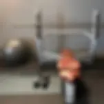 Cut Gym