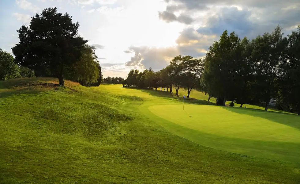 Josh Rowles Golf