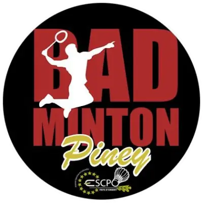 Badminton ESCPO Piney Aube