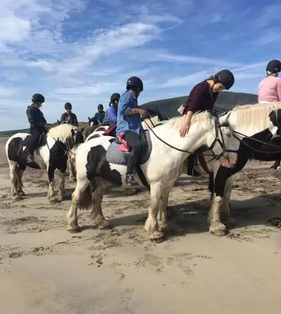 Longs Horse Riding