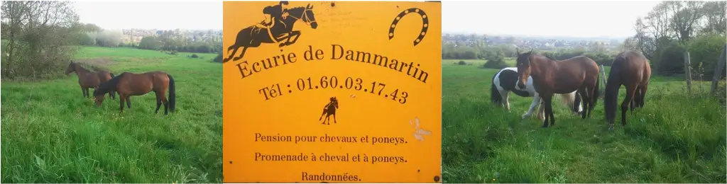 Horse Stables Dammartin