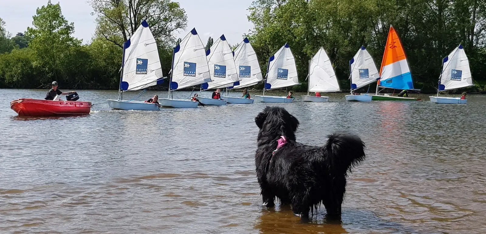 Club de Voile du Lac des 3 provinces