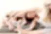 KAI YOGA South