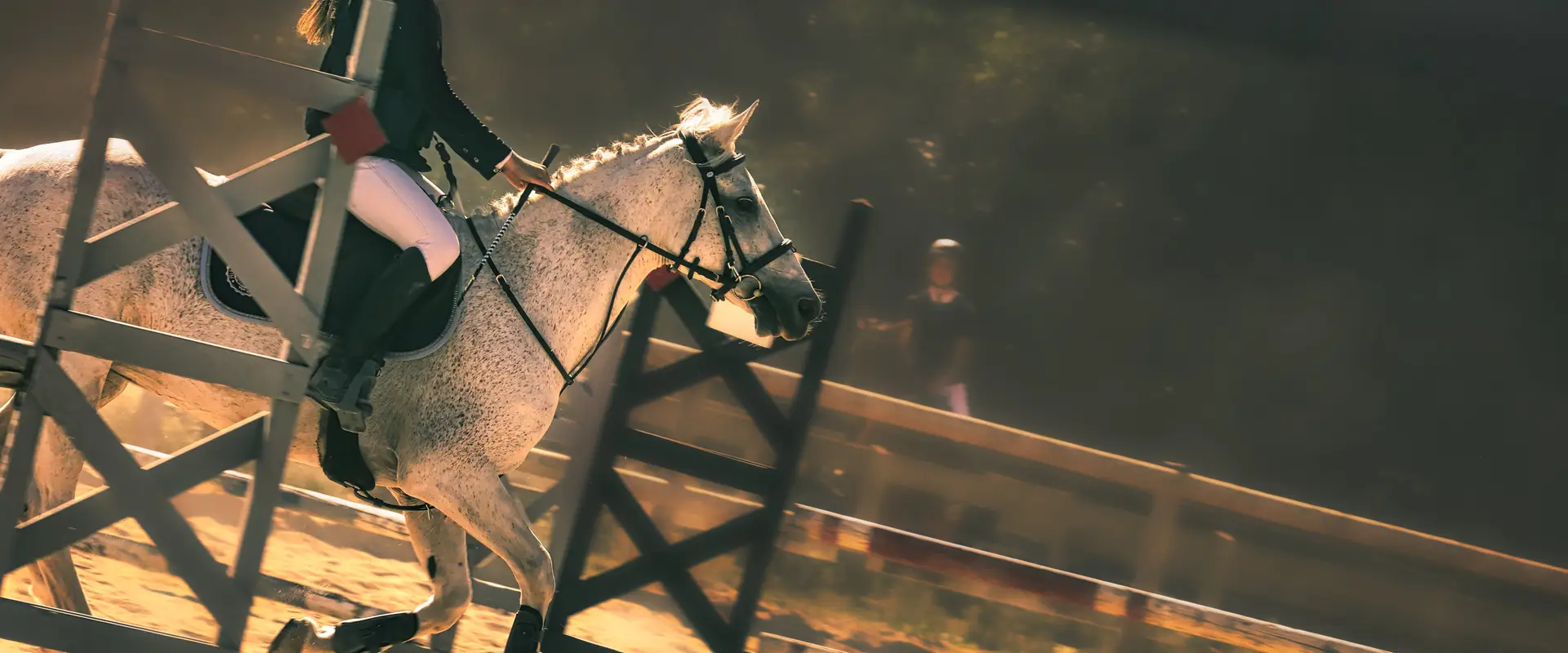 Kerguélen Equitation
