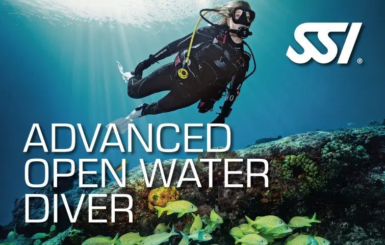 Eko Divers