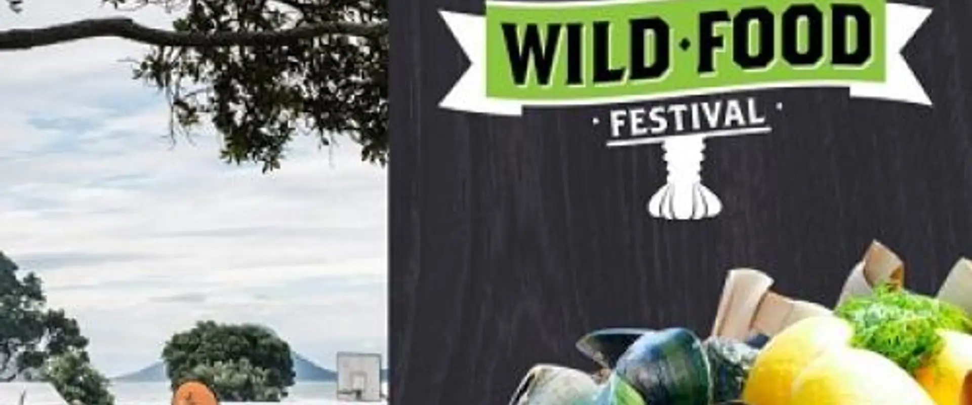 Nikau Valley Horse Treks