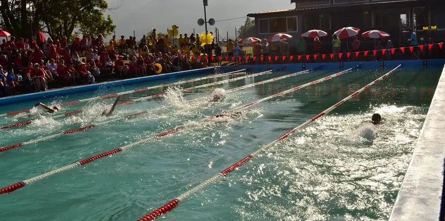 Te Aroha Swimming Club
