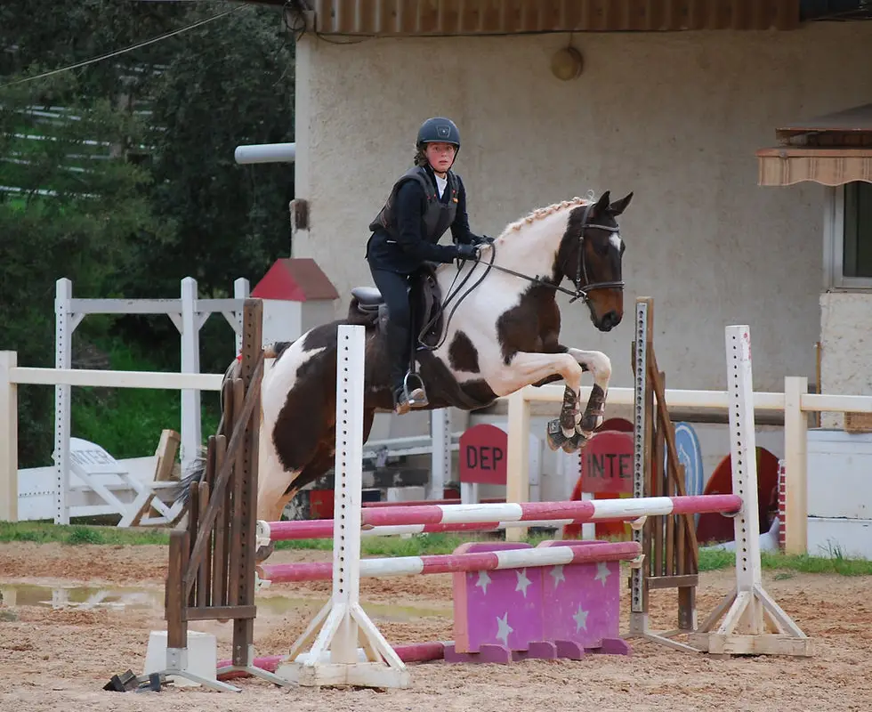 Centre Equestre Le Nénuphar