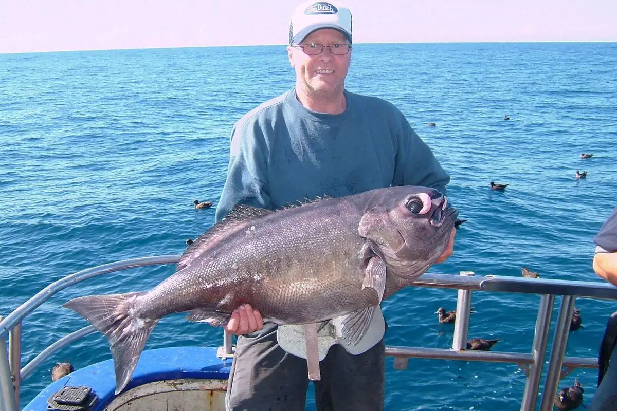 Deepstar Charters