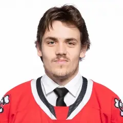 Niagara IceDogs