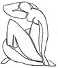 Yoga Forme