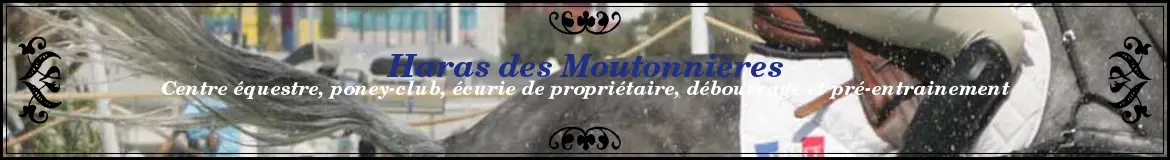 Of Stud Moutonnières