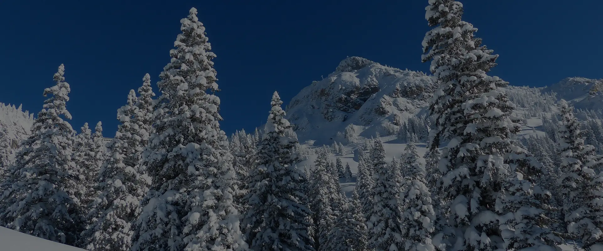 Ski resort Vernár - Studničky