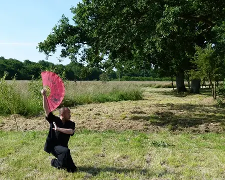 cours de taiji