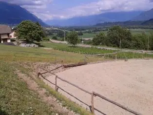 Le P'tit Ranch/ Le chalet des vignobles