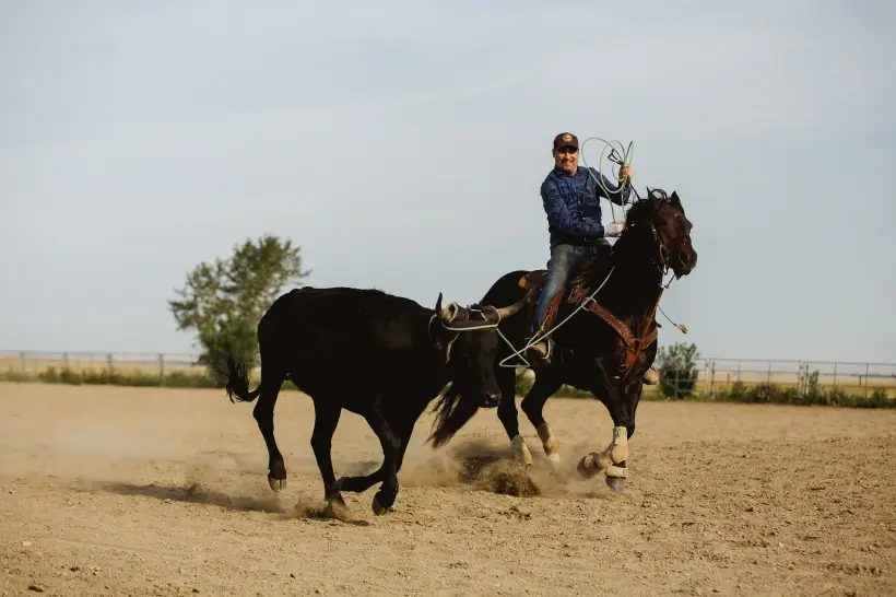 Leaning Tree Trail Rides
