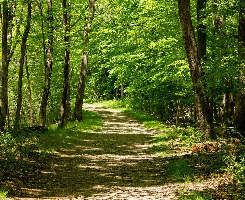 La Ferme Equestrian De La Forêt
