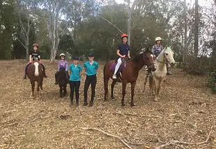 Tandan Equine