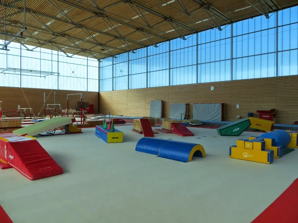 Avenir Gessien Gymnastique