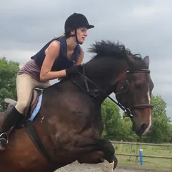 Littlefield Manor Horse Riding School. Licence number AWRL049